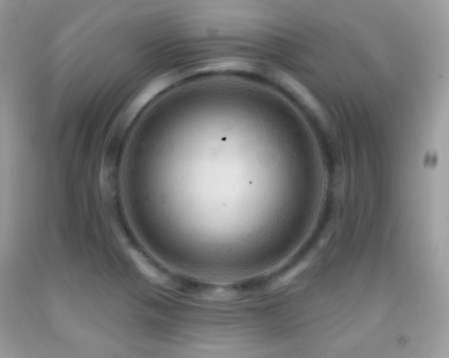 X0000091911321200709051410