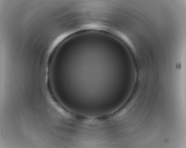X0000091911323200709051410