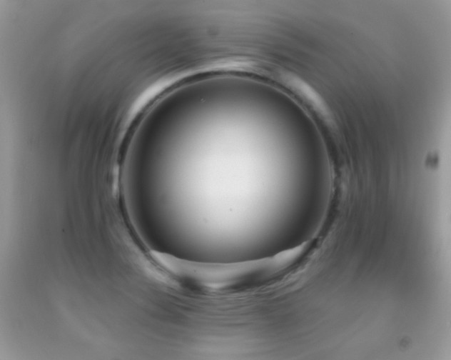 X0000091911324200709051410