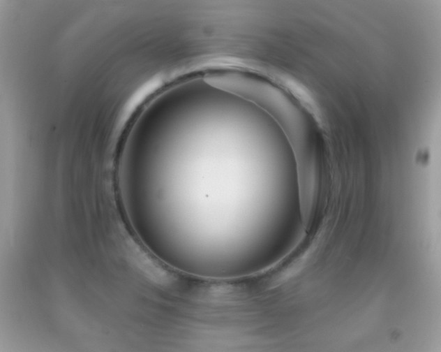 X0000091911326200709051410