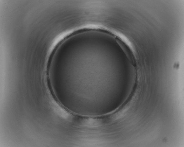 X0000091911327200709051410