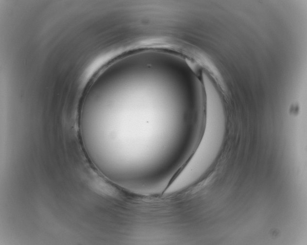 X0000091911328200709051410