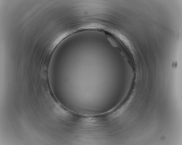 X0000091911329200709051410