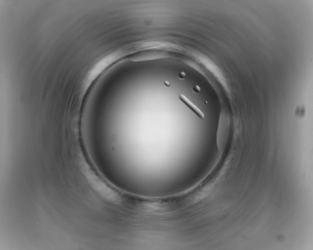 X0000091911330200709051410