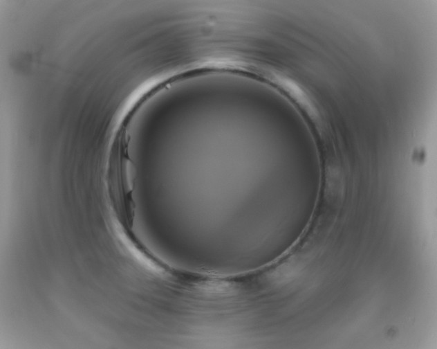 X0000091911331200709051410