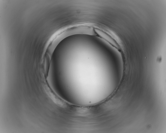 X0000091911332200709051410