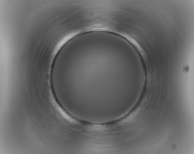 X0000091911333200709051410