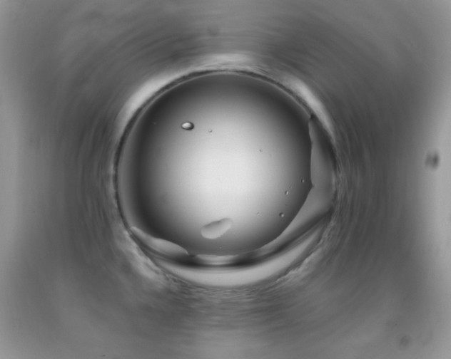X0000091911336200709051410