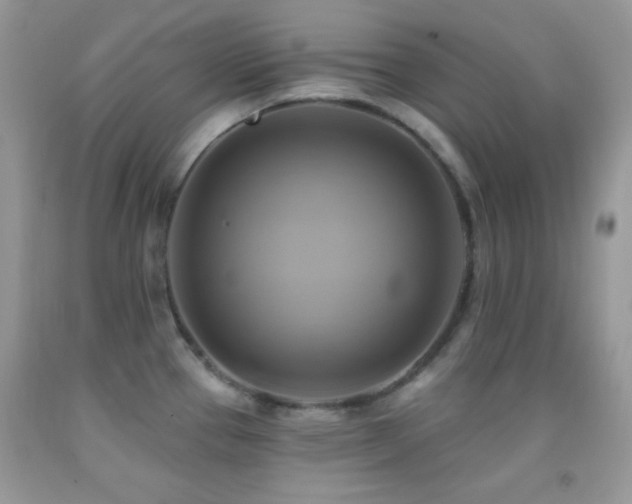 X0000091911337200709051410