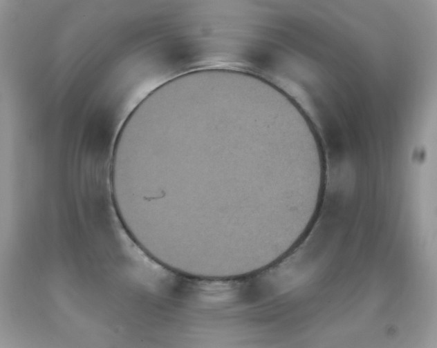 X0000091911338200709051410