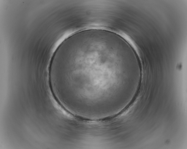 X0000091911341200709051410