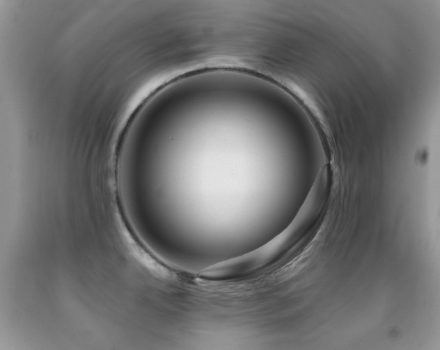X0000091911342200709051410