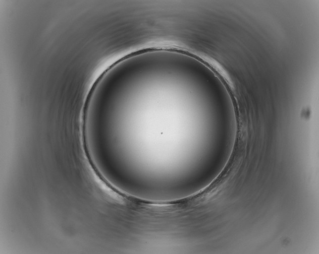 X0000091911343200709051410