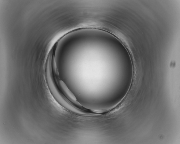 X0000091911344200709051410