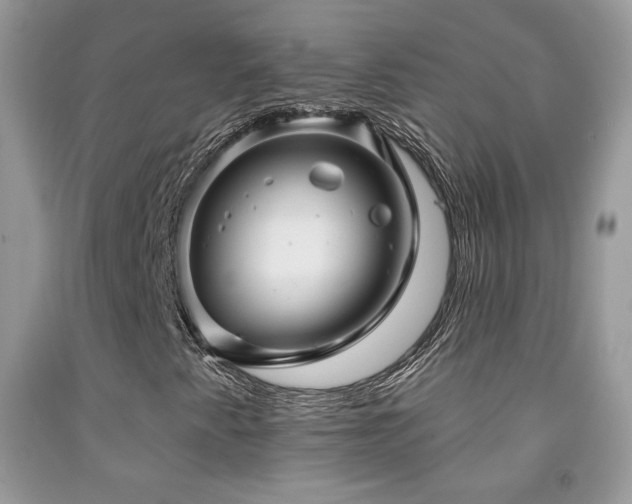 X0000091911345200709051410