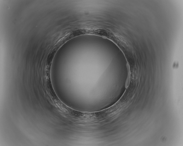 X0000091911346200709051410