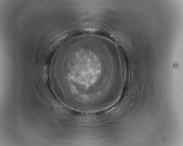 X0000091911347200709051410