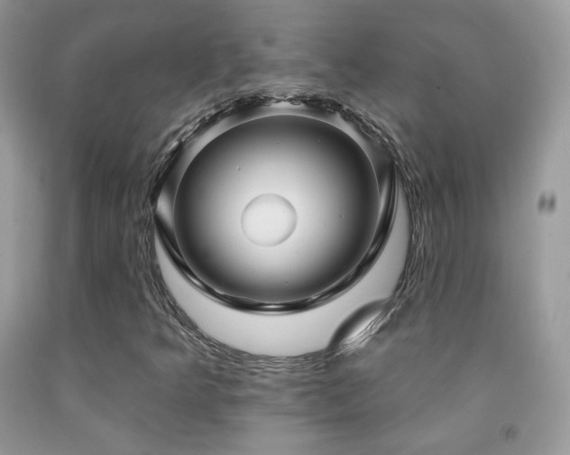 X0000091911349200709051410