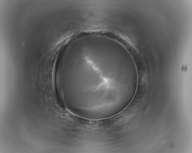 X0000091911350200709051410