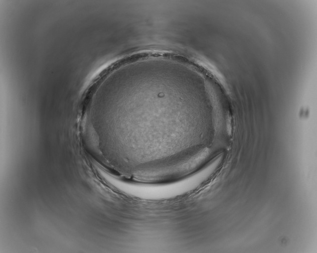 X0000091911352200709051410
