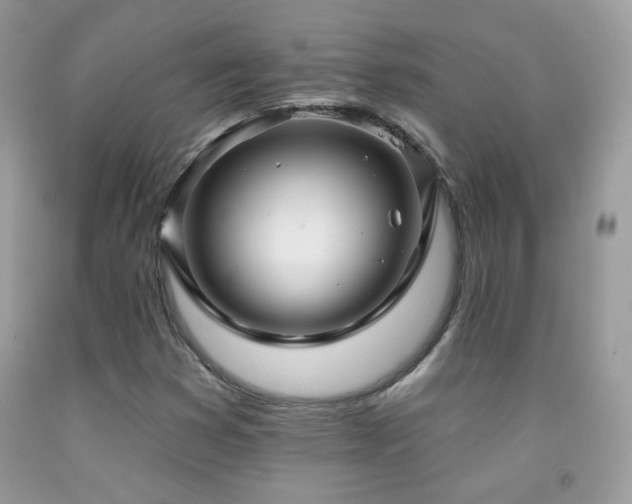X0000091911353200709051410