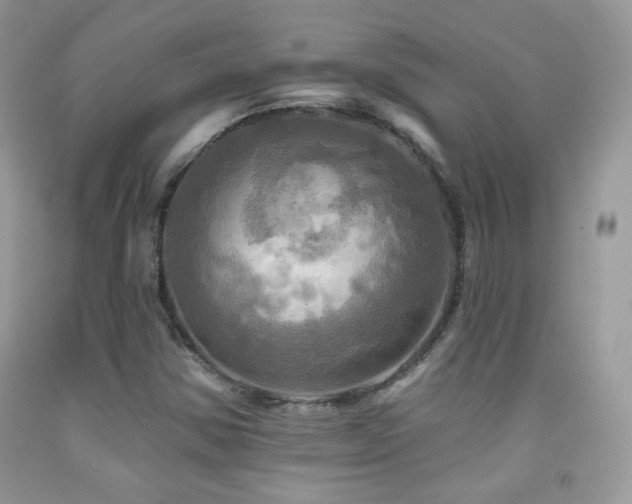 X0000091911354200709051410