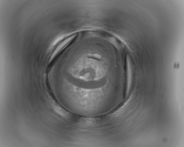 X0000091911355200709051410