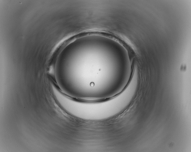 X0000091911356200709051410