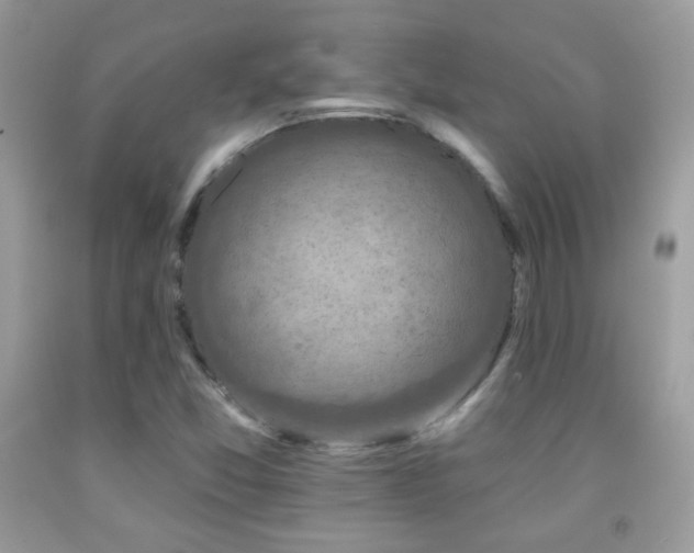 X0000091911357200709051410