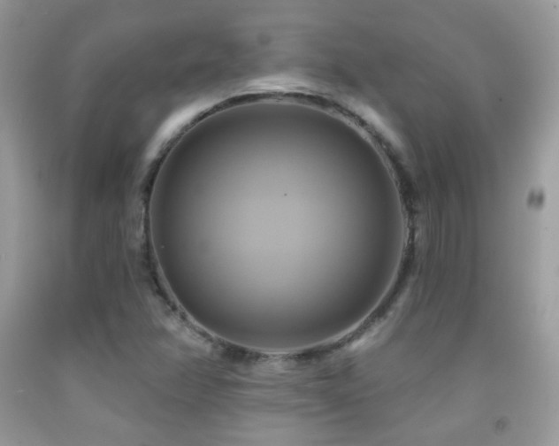 X0000091911358200709051410