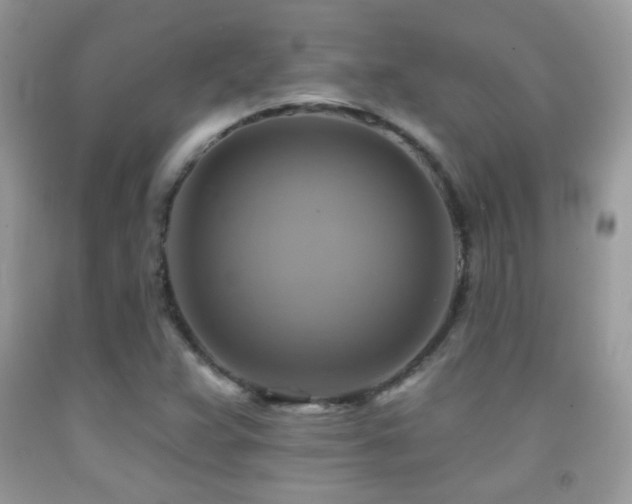 X0000091911359200709051410