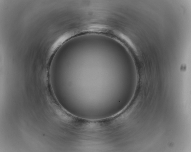 X0000091911362200709051410