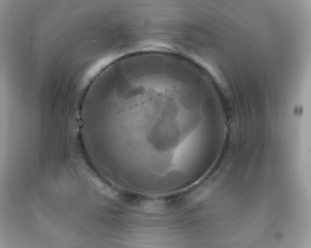 X0000091911363200709051410