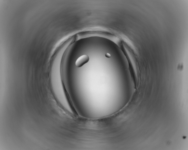 X0000091911364200709051410