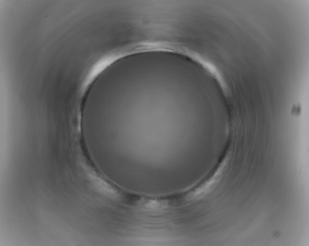X0000091911365200709051410