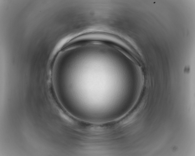 X0000091911366200709051410