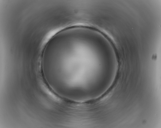 X0000091911367200709051410