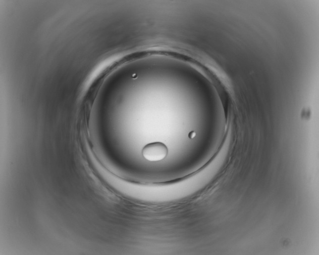 X0000091911368200709051410