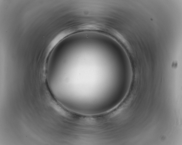 X0000091911370200709051410