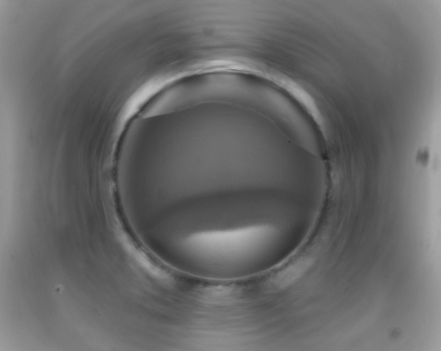 X0000091911373200709051410