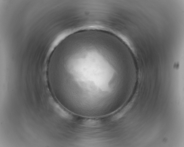 X0000091911374200709051410