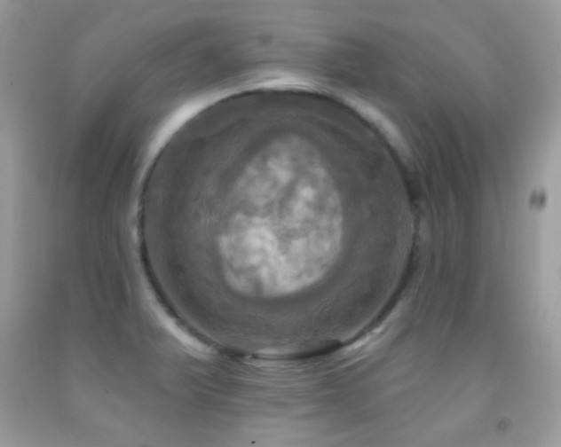 X0000091911375200709051410