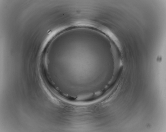 X0000091911376200709051409