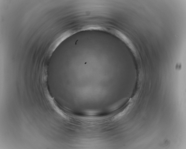 X0000091911377200709051409