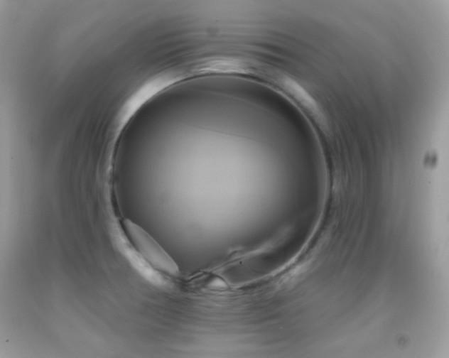 X0000091911378200709051409