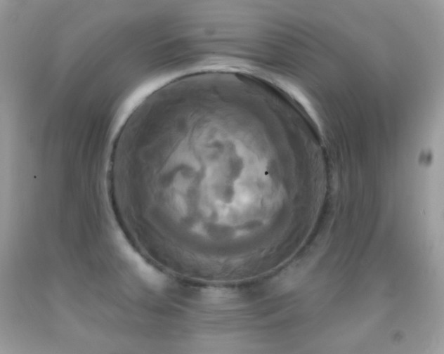 X0000091911379200709051409