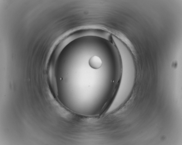 X0000091911380200709051409