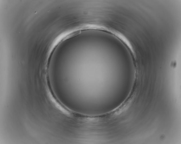 X0000091911381200709051409