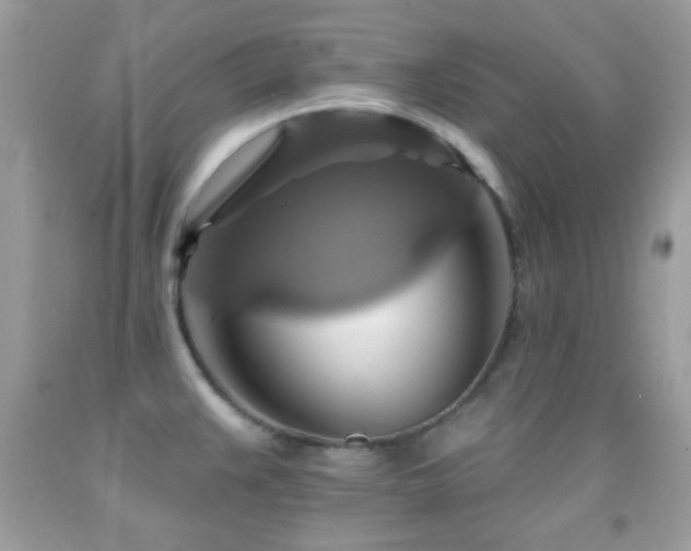 X0000091911383200709051409