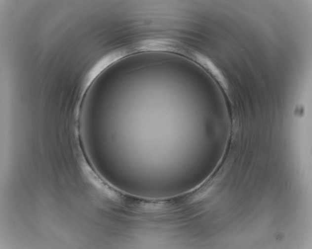 X0000091911386200709051409